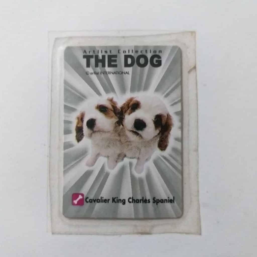 Artlist Colection - THE DOG - Cavalier King Charles Spaniel (LACRADO)