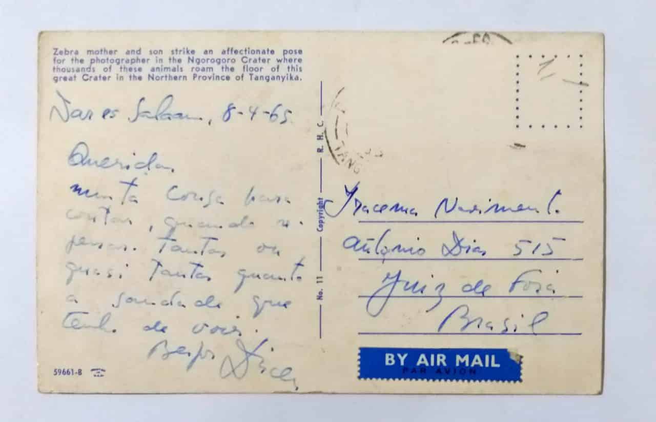 | Casa do Colecionador Cartão Postal Estrangeiro - Tanzânia (Tanganiyka) Zebra mãe e filho na Cratera Ngorogoro (1965)