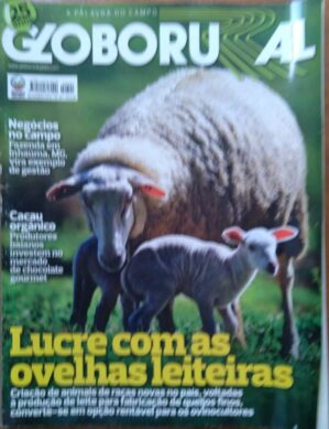 Revista Globo Rural 301 / Lucre com Ovelhas Leiteiras Caçar Orgânico.