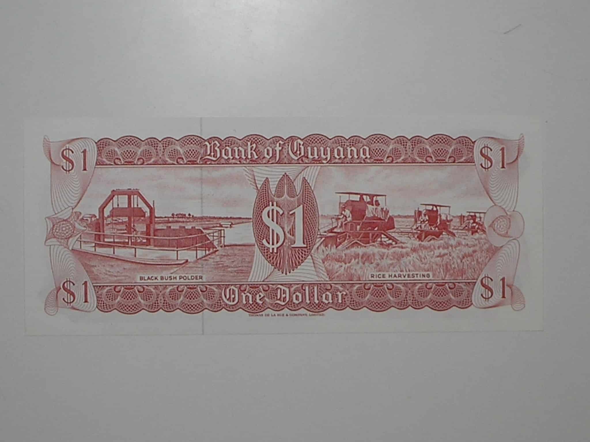| Casa do Colecionador Guyana) 1 Dollar - 1992 / Flor de Estampa / 696963 / ce04