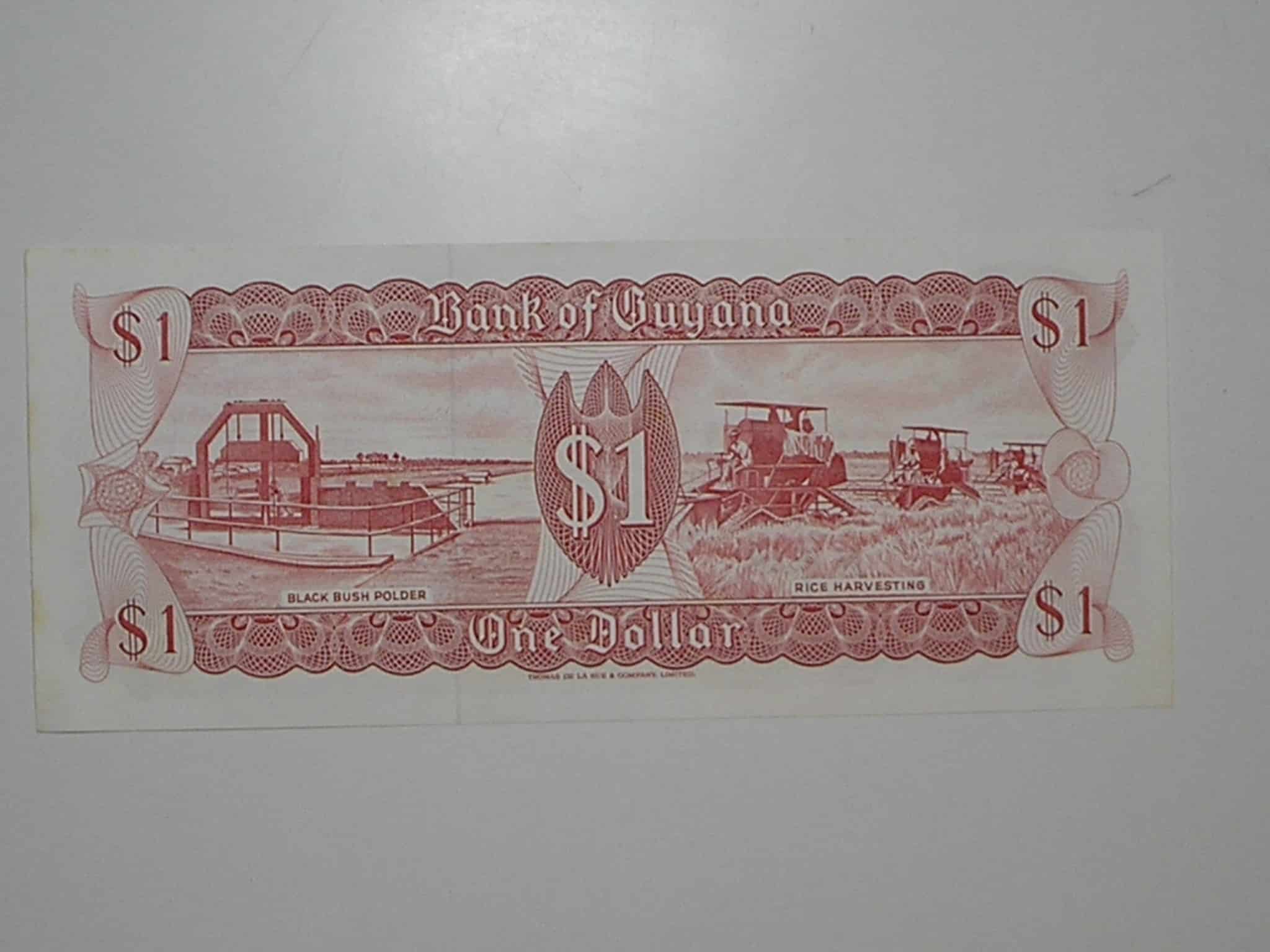 | Casa do Colecionador Guyana) 1 Dollar - 1992 / Flor de Estampa / 923214 / ce04