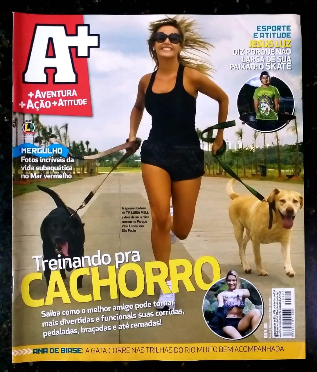 | Casa do Colecionador Lance A+ Nº 397 - Treinando pra Cachorro - Maio 2010 (Revista)