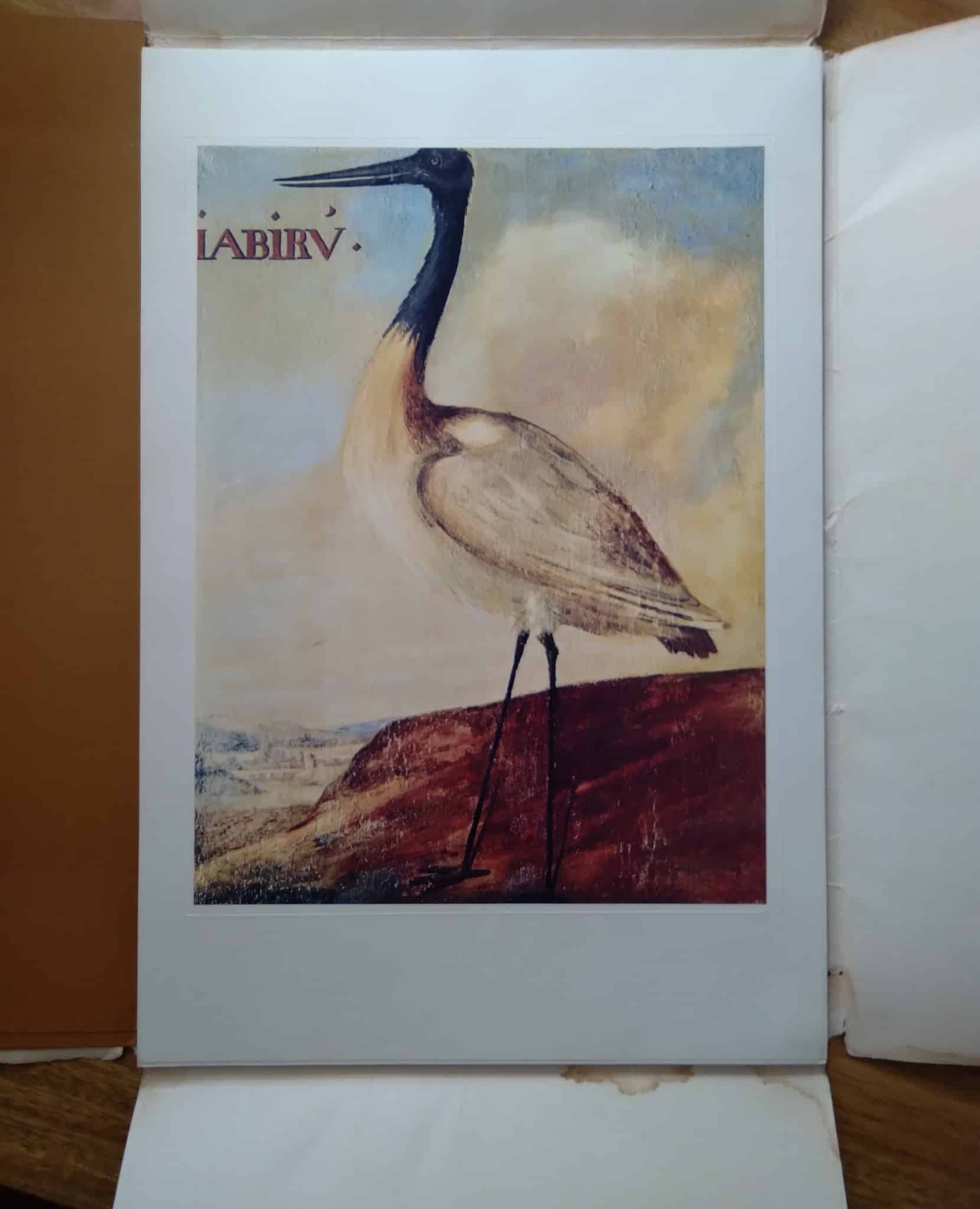 | Casa do Colecionador Colecao 20 Pranchas Birds of Brazil / Aves Pássaros / Albert Eckhout.