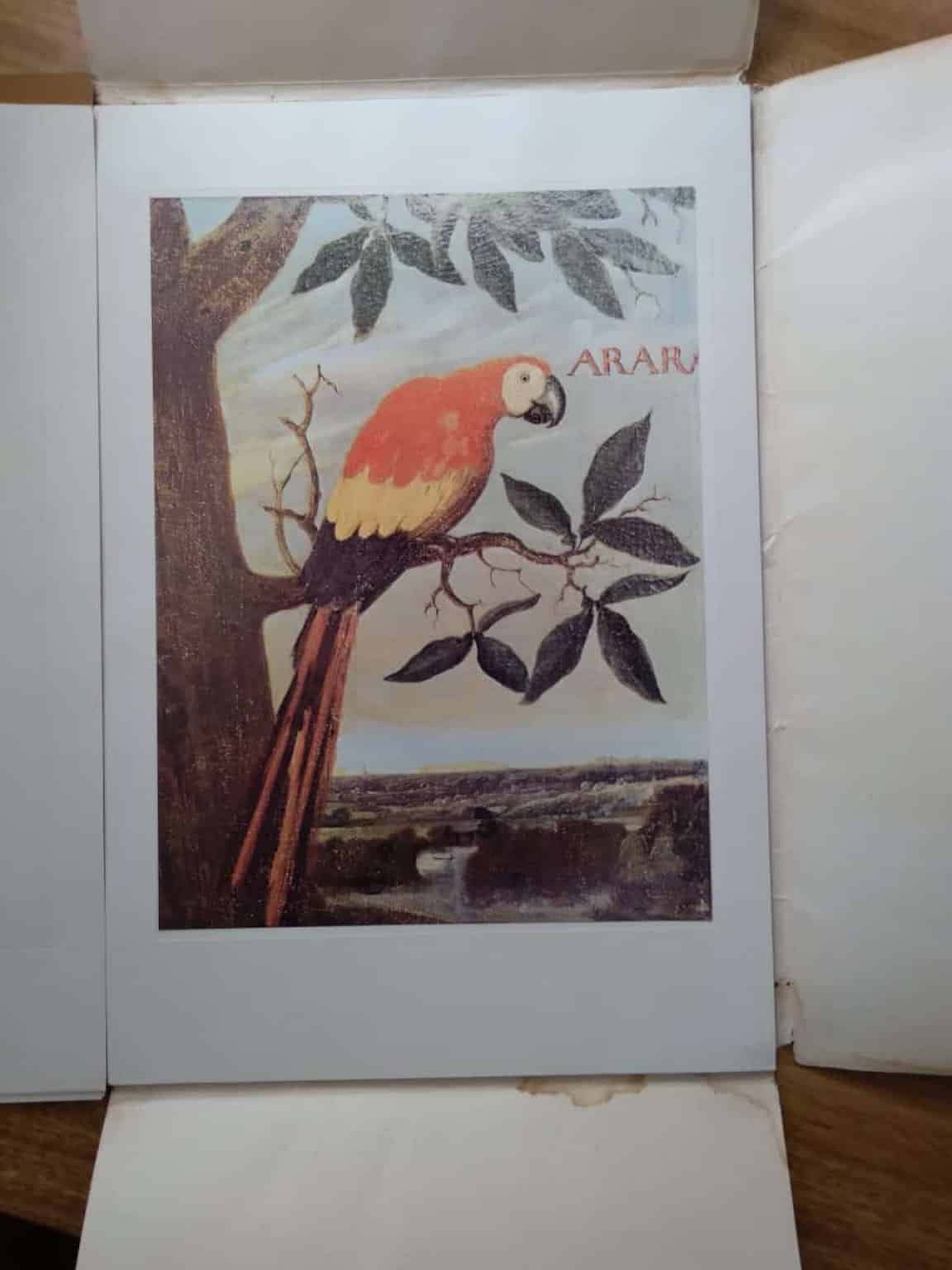 | Casa do Colecionador Colecao 20 Pranchas Birds of Brazil / Aves Pássaros / Albert Eckhout.