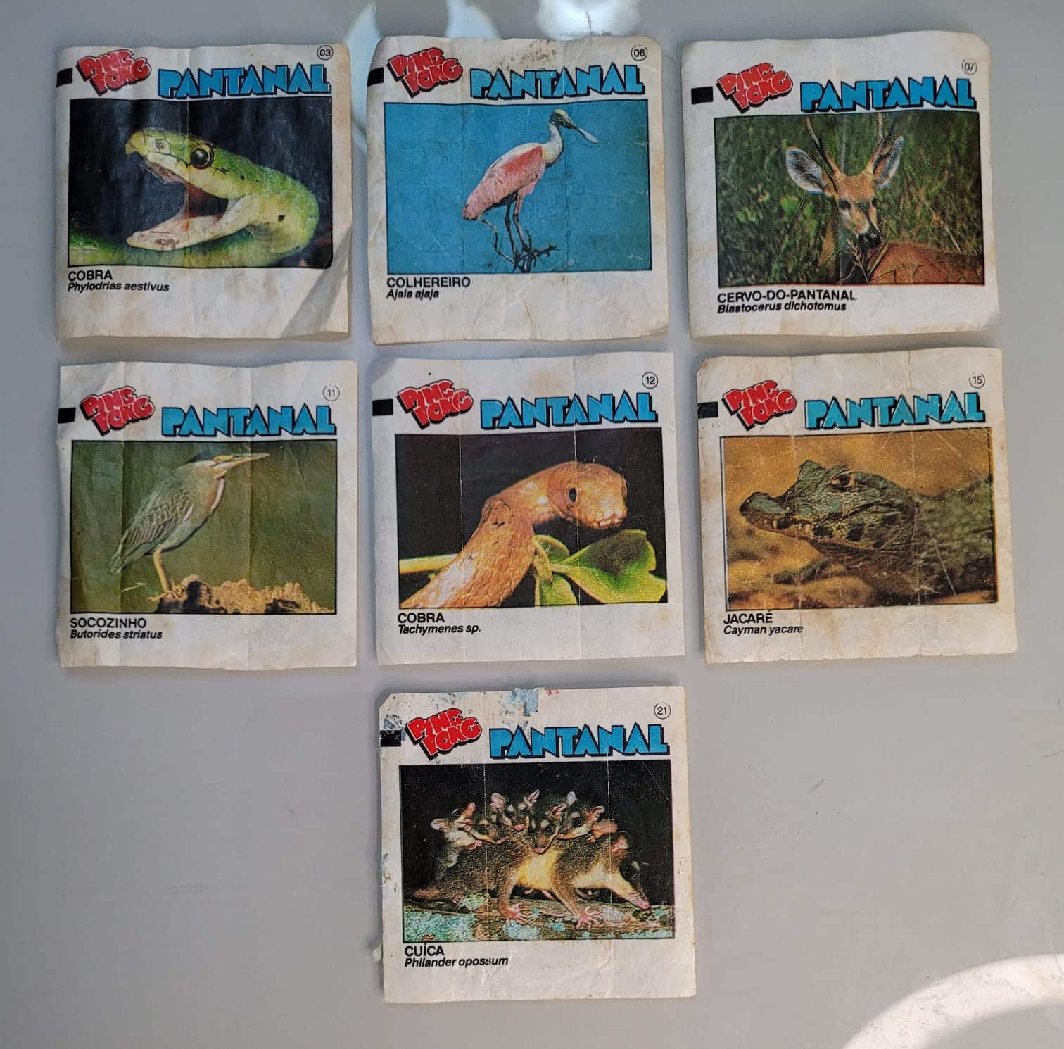 7 Figurinhas Ping Pong - Pantanal