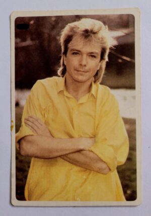 Calendário de Bolso (Tema Música) David Cassidy - Ano 1986 - Calendário Estrangeiro (Portugal)