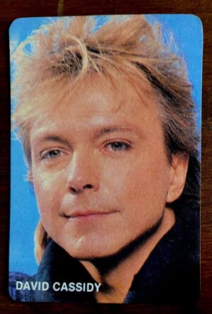 Calendário de Bolso (Tema Música) David Cassidy - Ano 1987 - Calendário Estrangeiro (Portugal)