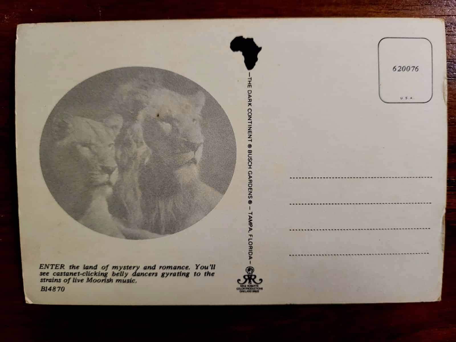 | Casa do Colecionador Cartão Postal Estrangeiro - Estados Unidos (Flórida) Busch Gardens The Dark Continent