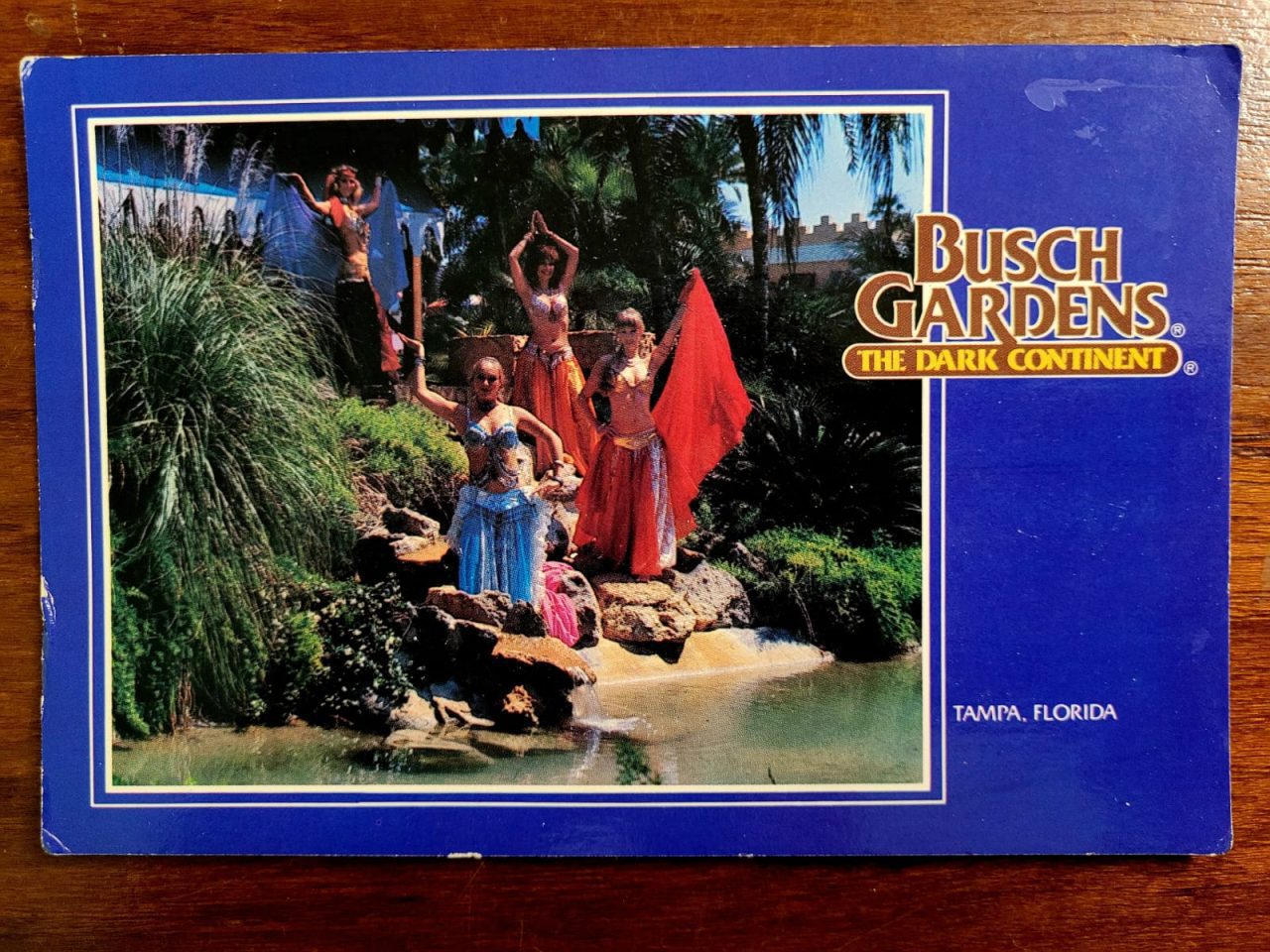 Cartão Postal Estrangeiro - Estados Unidos (Flórida) Busch Gardens The Dark Continent