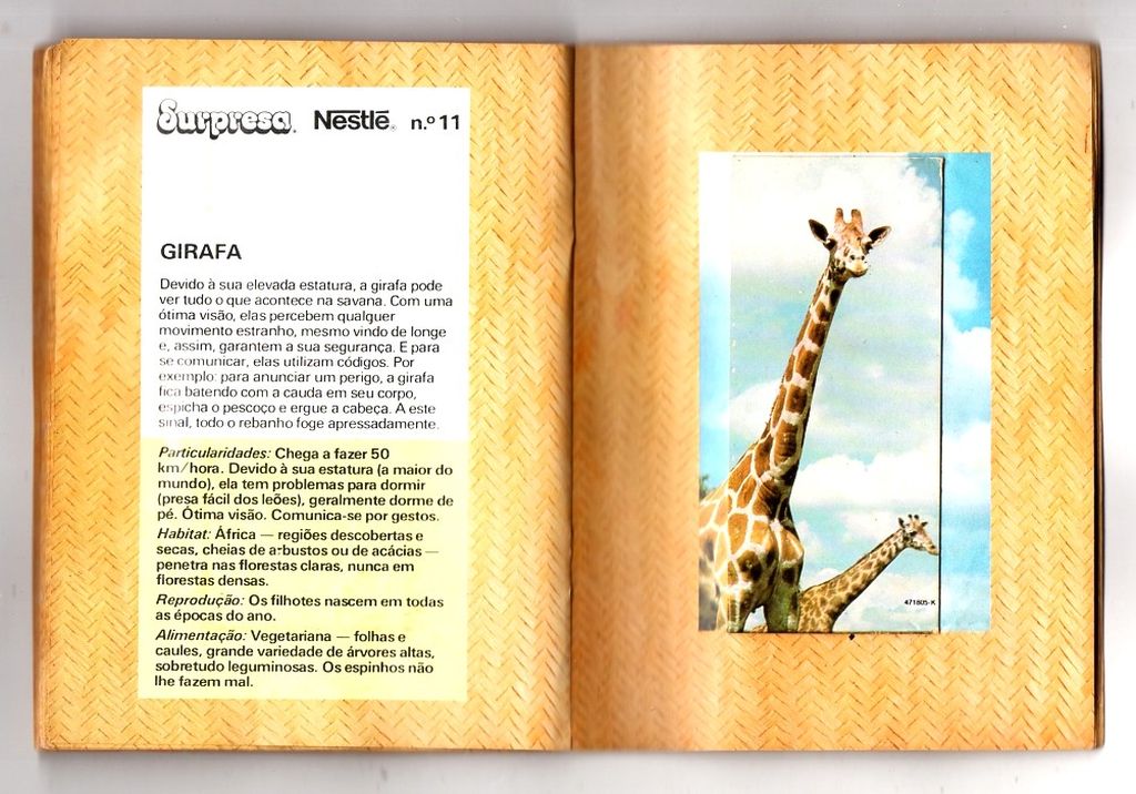 | Casa do Colecionador Album de Figurinhas - Nestle Surpresa - Animais De Todo Mundo 1983 Completo