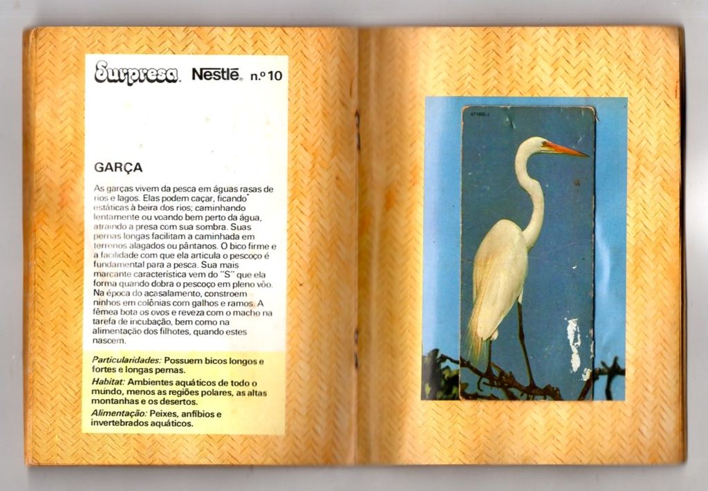 | Casa do Colecionador Album de Figurinhas - Nestle Surpresa - Animais De Todo Mundo 1983 Completo