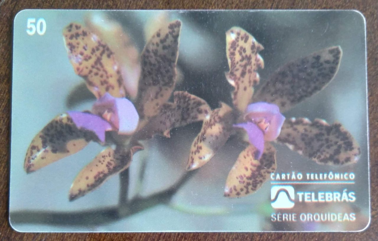 | Casa do Colecionador Ct Brasil Telebrás 00 1995 / Orquideas / Cattleya Guttata.