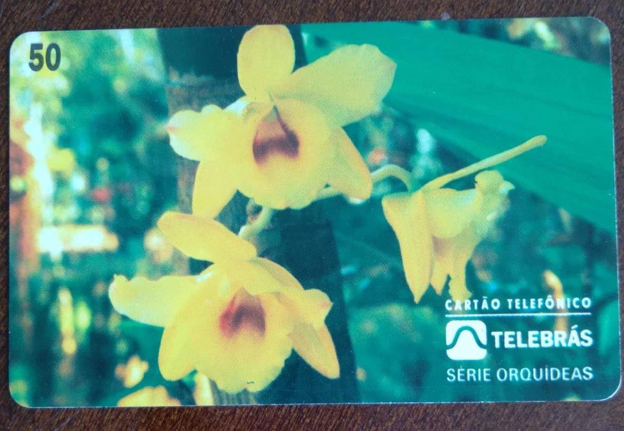 | Casa do Colecionador Ct Brasil Telebrás 00 1995 / Orquideas / Dendrobium Calciolaria.