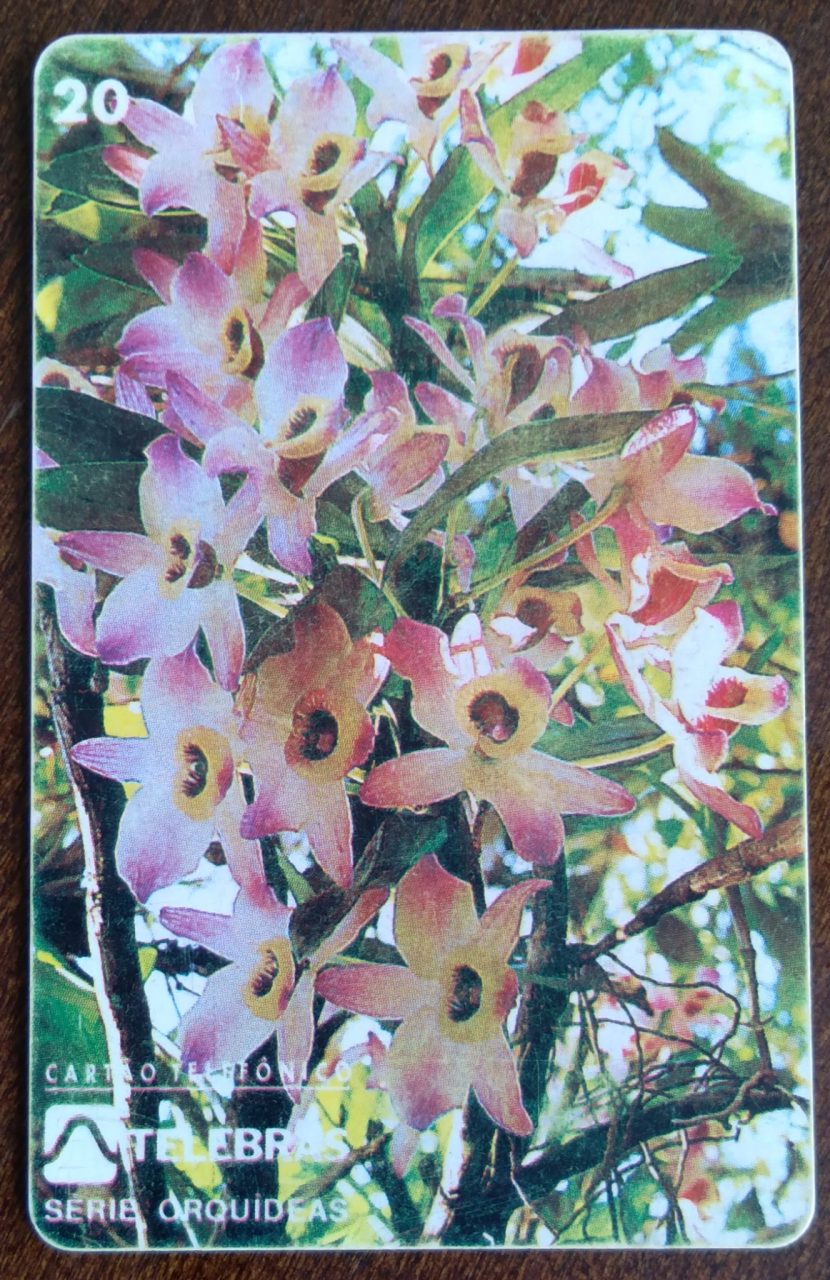 | Casa do Colecionador Ct Brasil Telebrás 00 1995 / Orquideas / Dendrobium (sp).