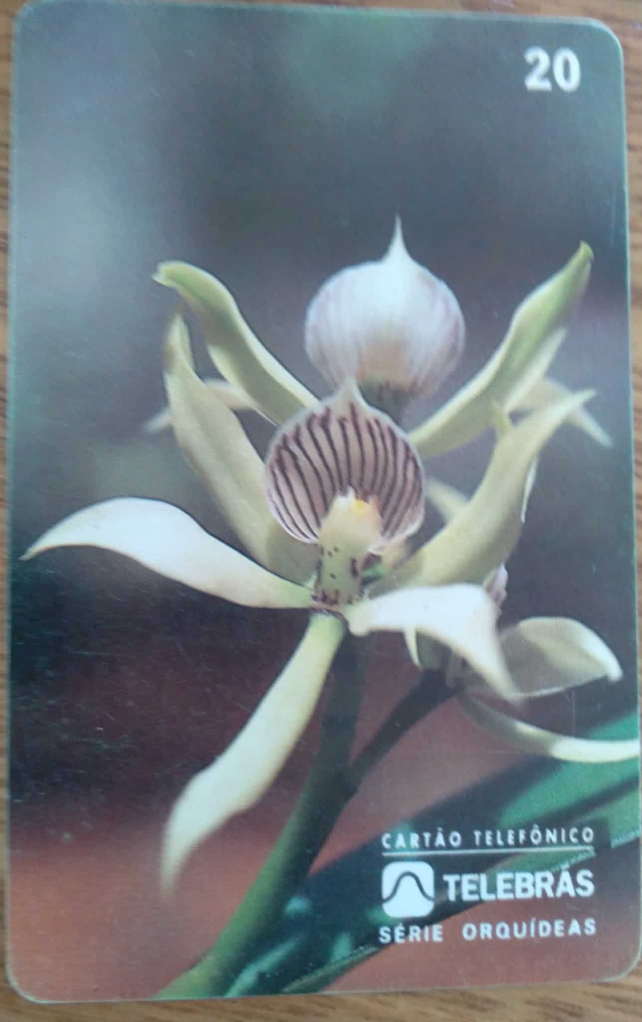 | Casa do Colecionador Ct Brasil Telebrás 00 1995 / Orquideas / Epidendrum Fragrans.
