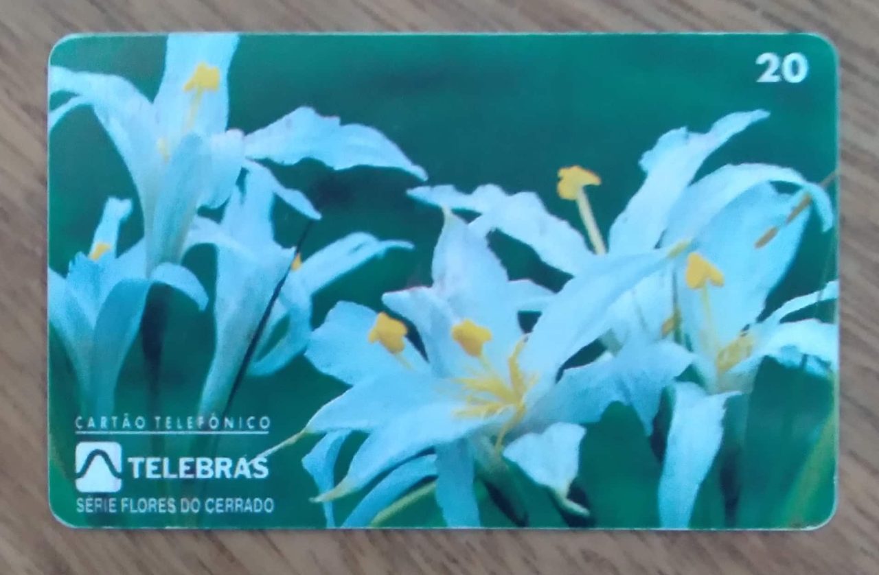 | Casa do Colecionador Ct Brasil Telebrás 00 1995 / Flores do Cerrado canela de ema.