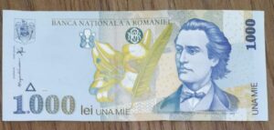 Cédula Romênia de 1.000 Flor de estampa