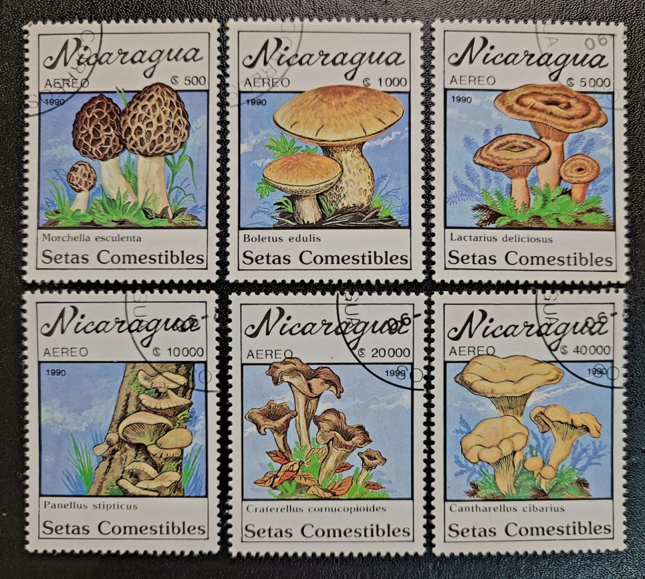 | Casa do Colecionador Nicaragua - SW Nº 3059 a 3064 - Cogumelos (Série Incompleta) 15/07/1990 - Selos Aéreos Usados