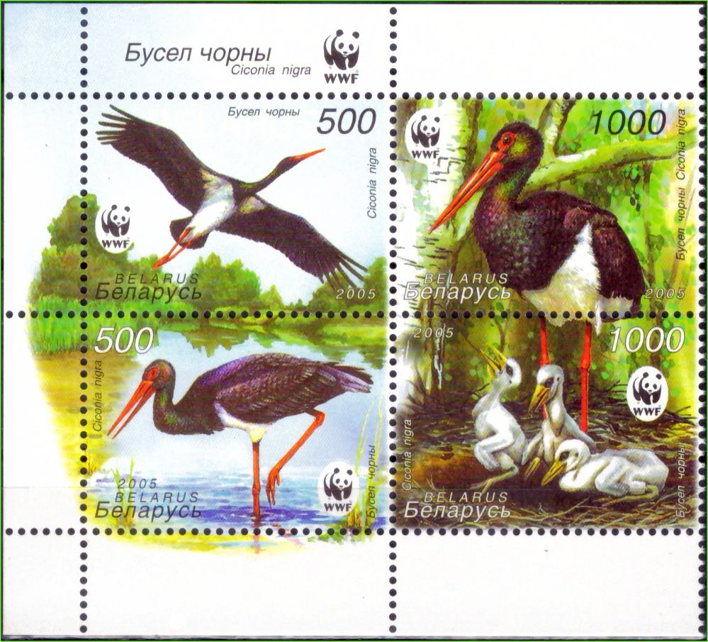 | Casa do Colecionador Belarus - Cegonha preta - 2005 - S/Completa - Bloco com 4 selos - WWF