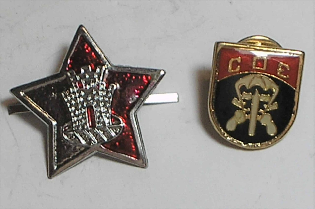 | Casa do Colecionador Militaria - 2 pins castelo e Coe - Comando de Operações Especiais, com prendedor, 2,5 cm maior tamanho, metal e latão, esmaltados