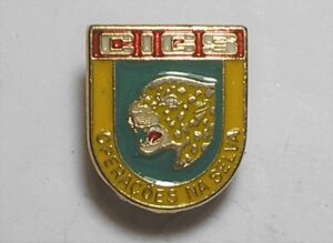 Pin com simbolo militar Cigs operações na Selva, com prendedor, 2 cm maior lado, metal, esmaltado