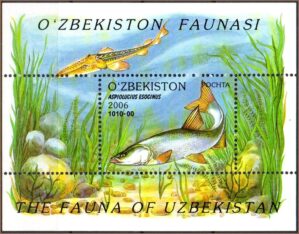 Uzbequistão - Peixes - 2006 - Bloco