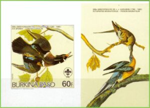 Burkina Faso - Aves - 1985 - Ilustrações de Audubon - Bloco sem perfuração com ilustração - 1