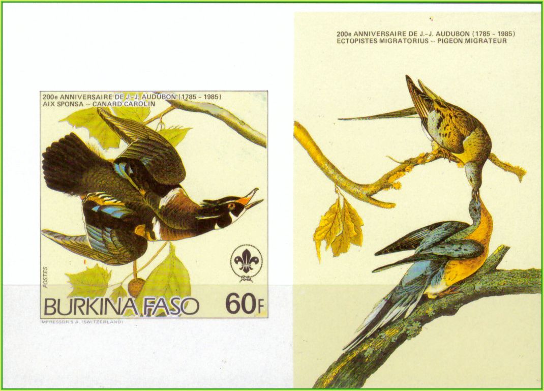 | Casa do Colecionador Burkina Faso - Aves - 1985 - Ilustrações de Audubon - Bloco sem perfuração com ilustração - 1