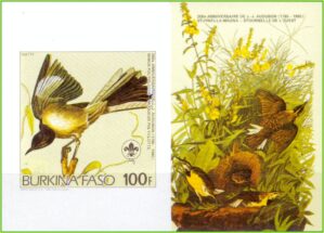 Burkina Faso - Aves - 1985 - Ilustrações de Audubon - Bloco sem perfuração com ilustração - 2