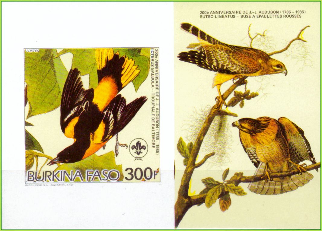 | Casa do Colecionador Burkina Faso - Aves - 1985 - Ilustrações de Audubon - Bloco sem perfuração com ilustração - 3