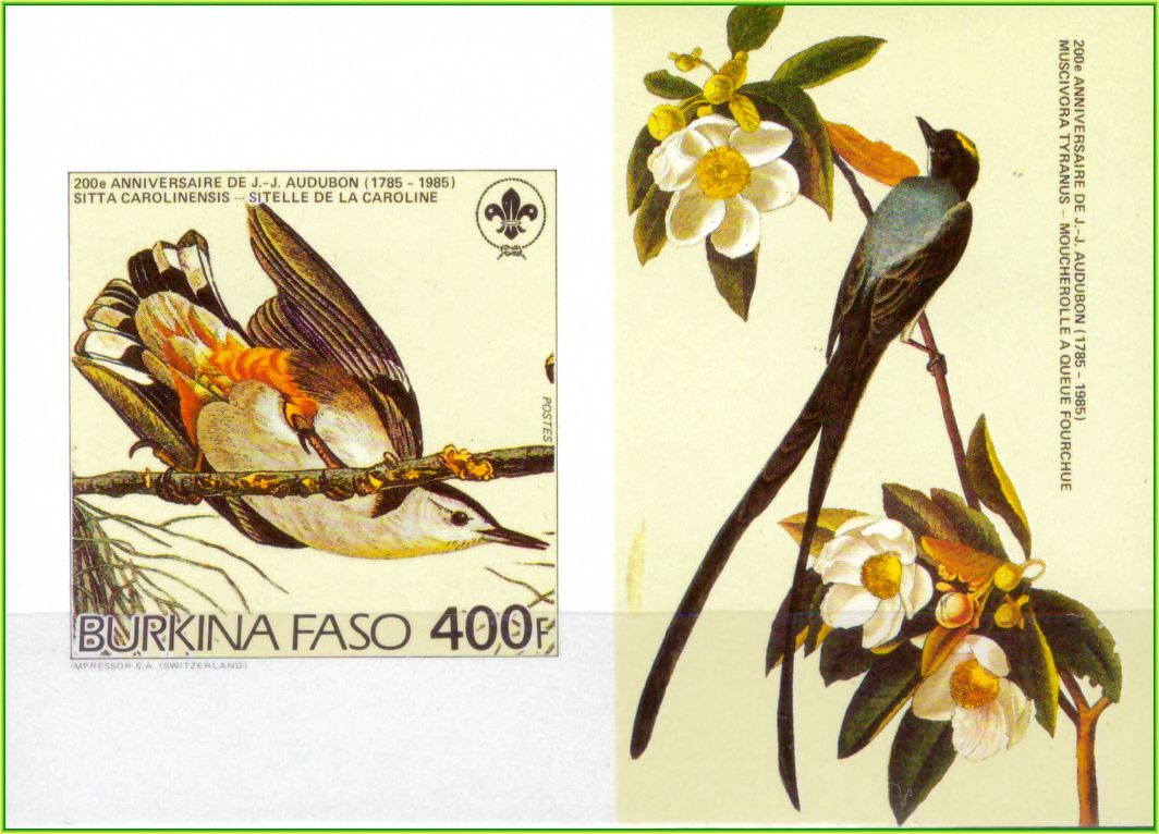 | Casa do Colecionador Burkina Faso - Aves - 1985 - Ilustrações de Audubon - Bloco sem perfuração com ilustração - 4