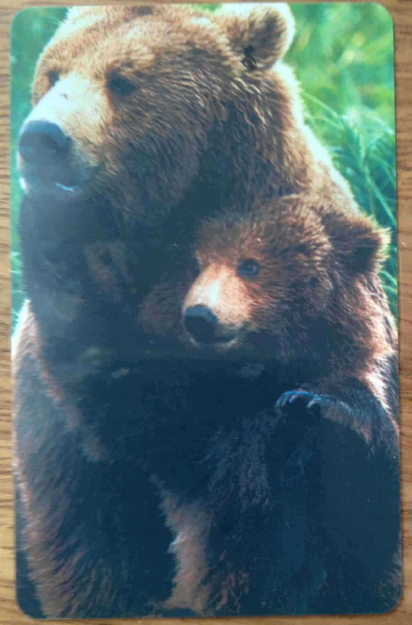| Casa do Colecionador Cartão Libéria Phone Magnético. Urso e filhote.