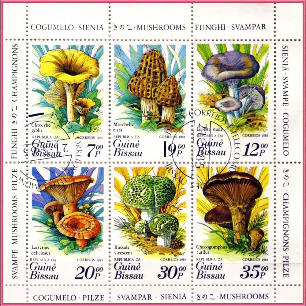 | Casa do Colecionador Guiné Bissau - Cogumelos - 1985 - S/Completa - Bloco com 6 selos