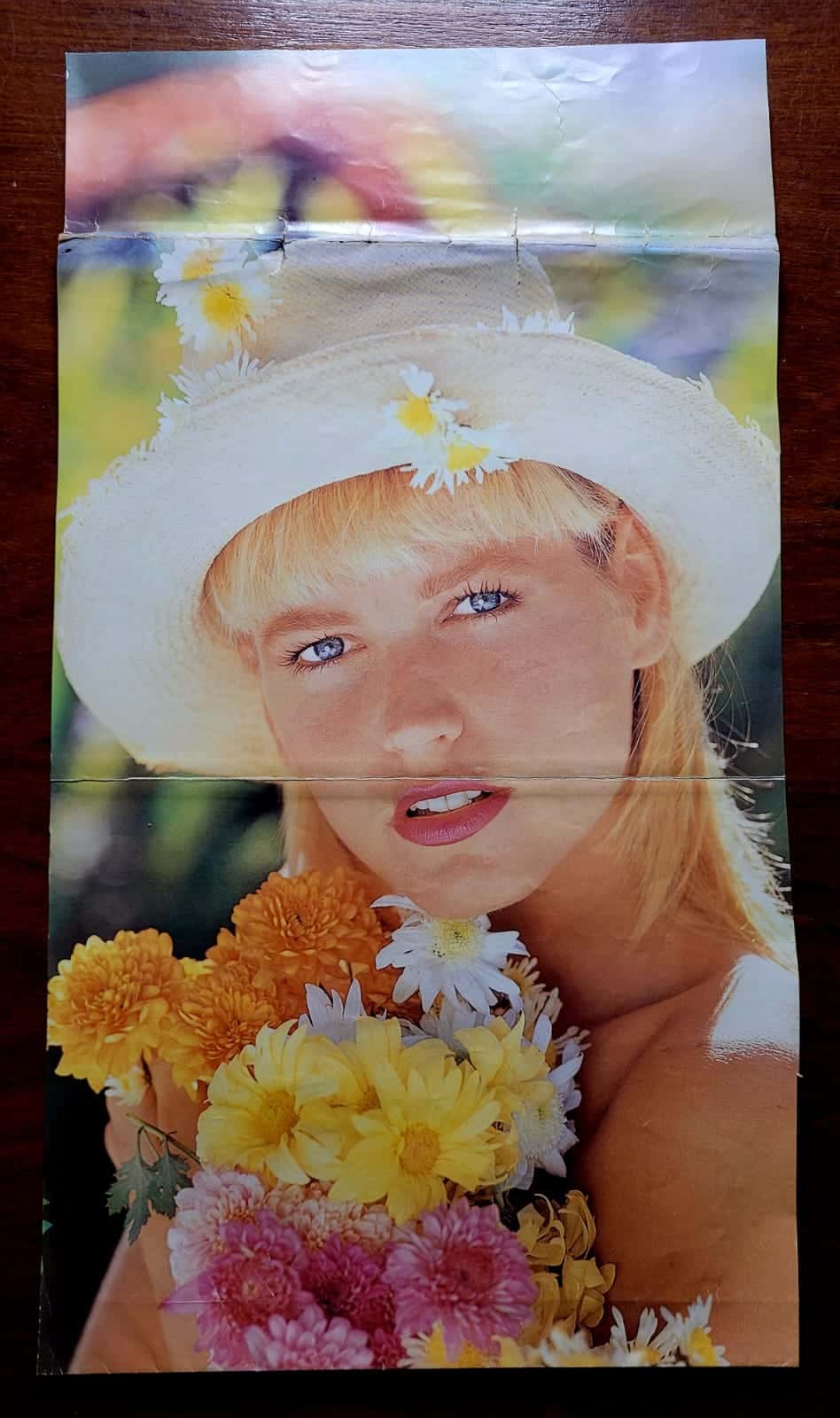 | Casa do Colecionador Recorte de Encarte de Disco da Xuxa