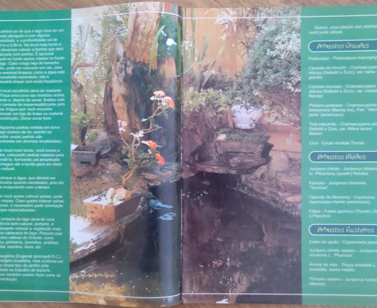 | Casa do Colecionador G27 revista Faça em casa Arte e jardim japonês 26. Editora O Levita.