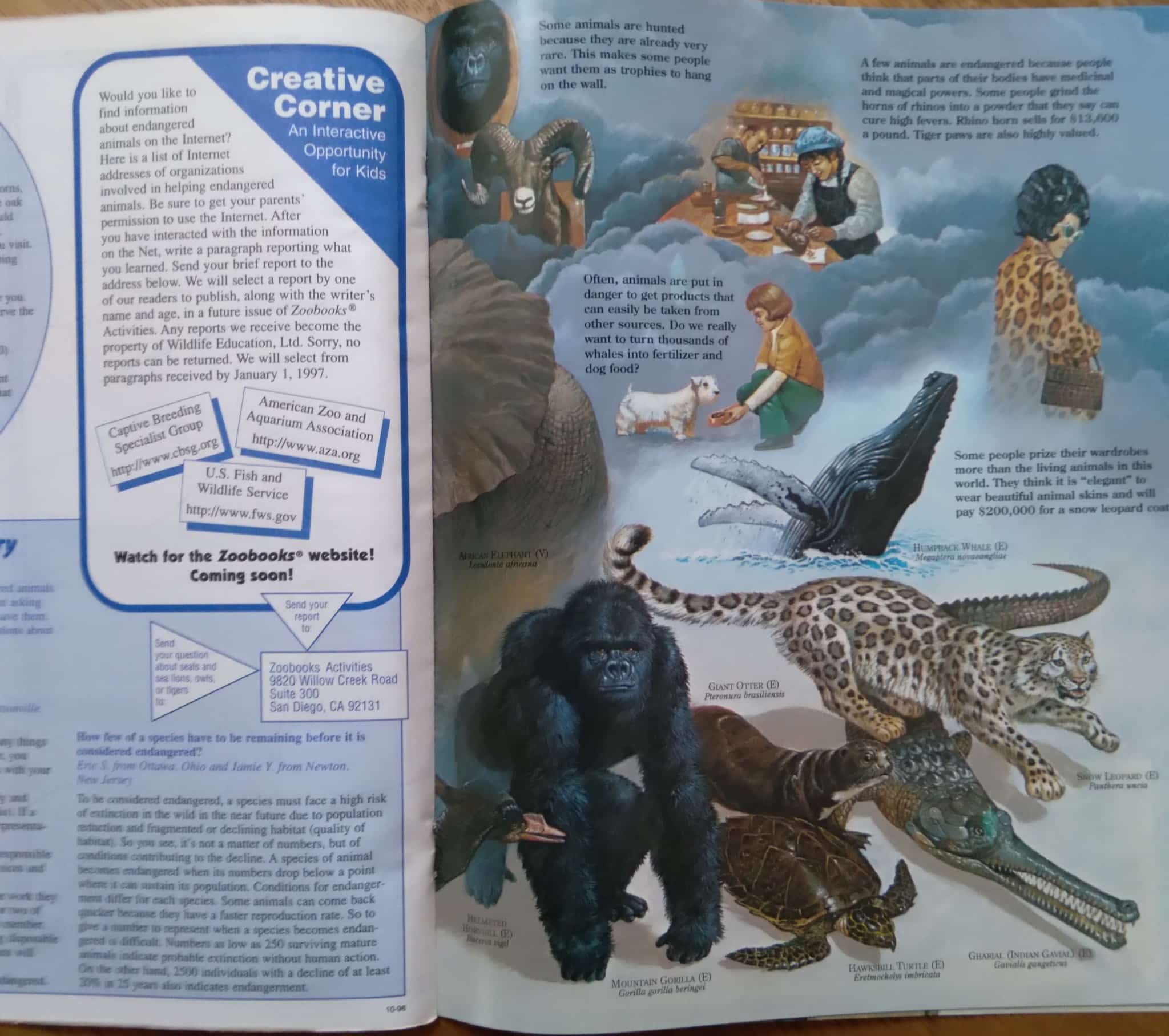 | Casa do Colecionador Magazine em inglês Zoobook Endangered Animals. Ed Wildlife education.