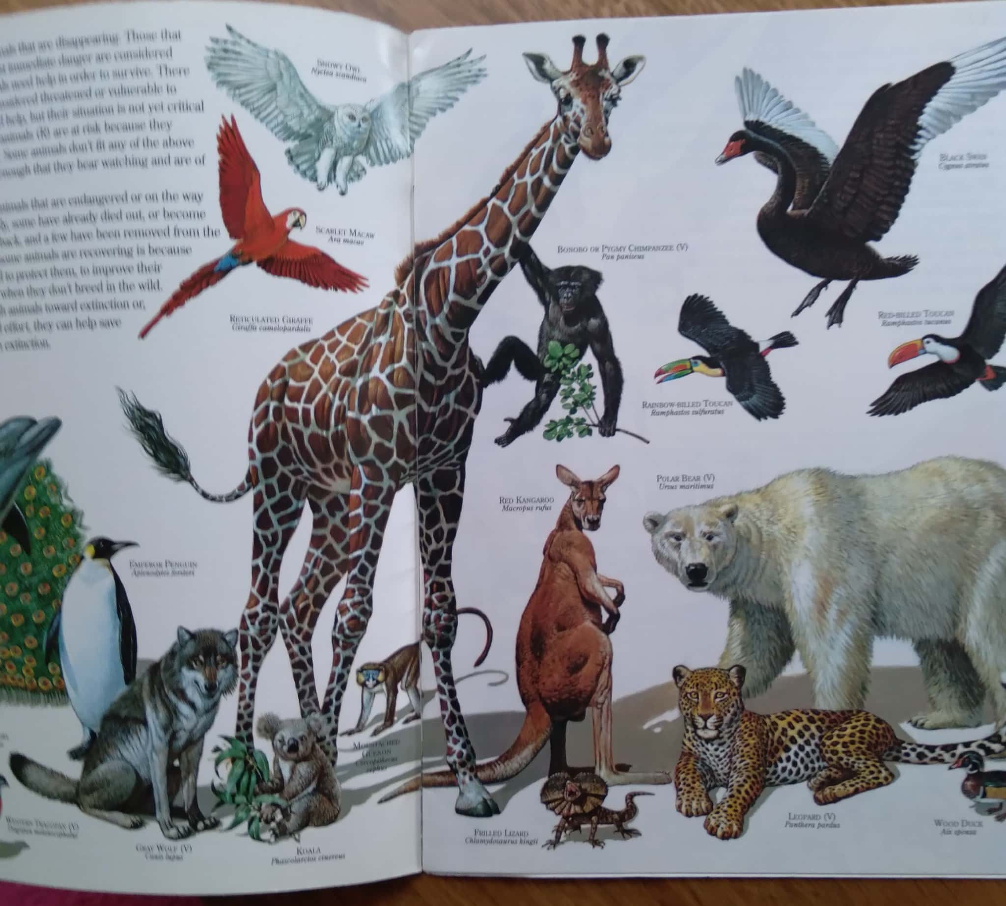 | Casa do Colecionador Magazine em inglês Zoobook Endangered Animals. Ed Wildlife education.