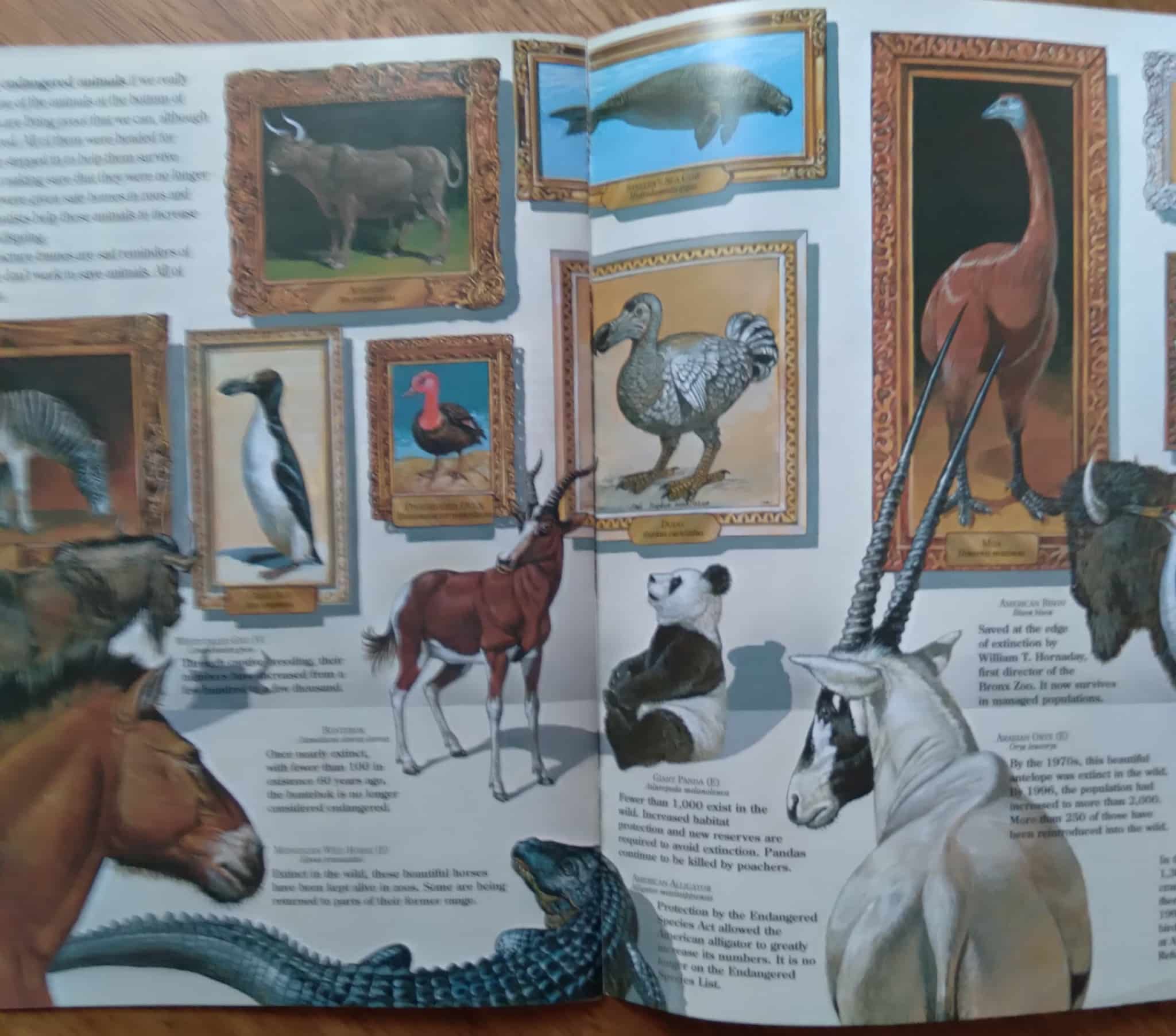| Casa do Colecionador Magazine em inglês Zoobook Endangered Animals. Ed Wildlife education.