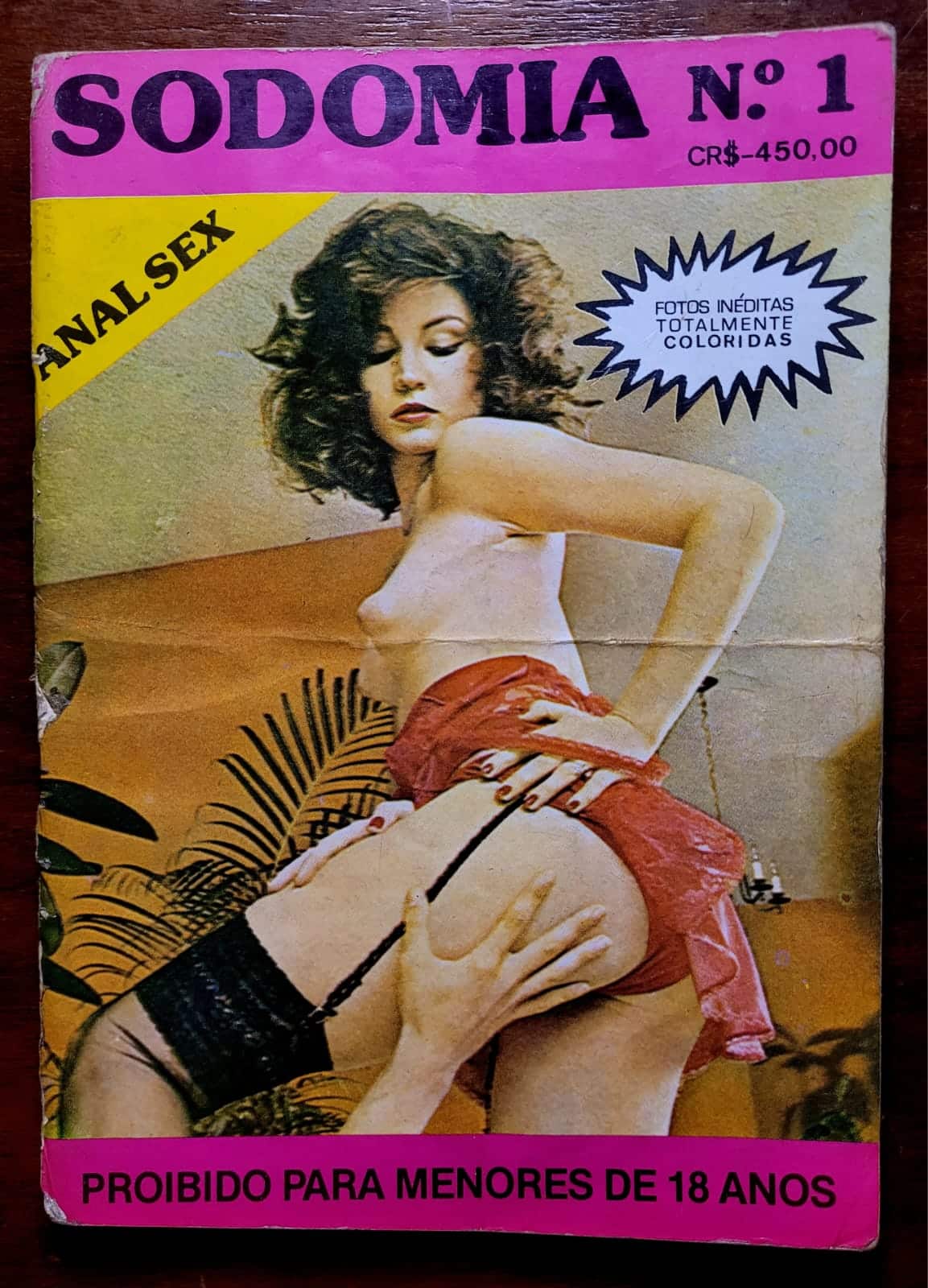 | Casa do Colecionador Sodomia Nº 01 - Anal Sex (Fotonovela Erótica)