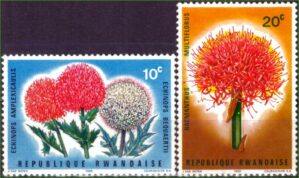 Ruanda - Flores - 1966 - S/Incompleta