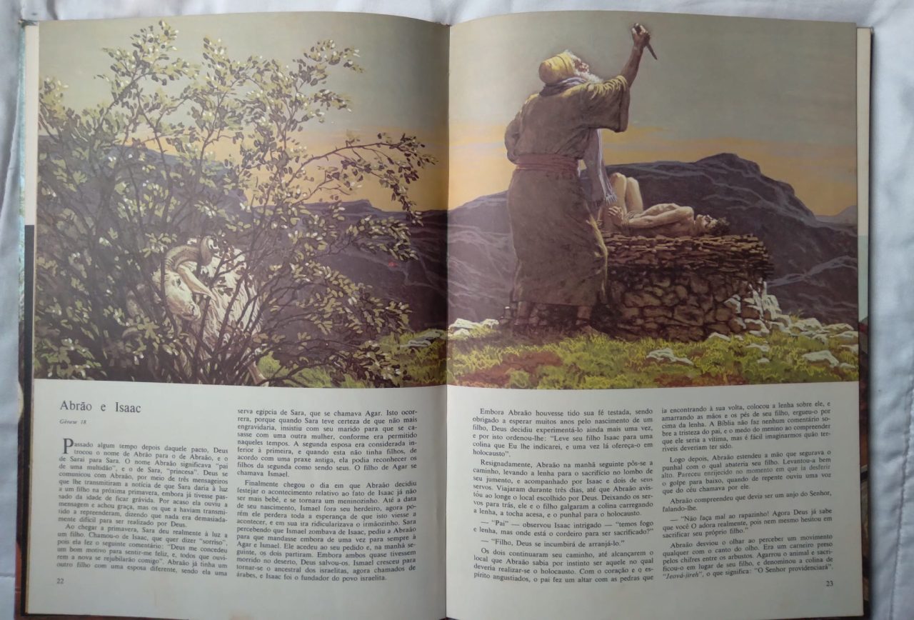 | Casa do Colecionador Livro Bíblia ilustrada ao alcance dos Jovens vol 1. Ed Rideel.