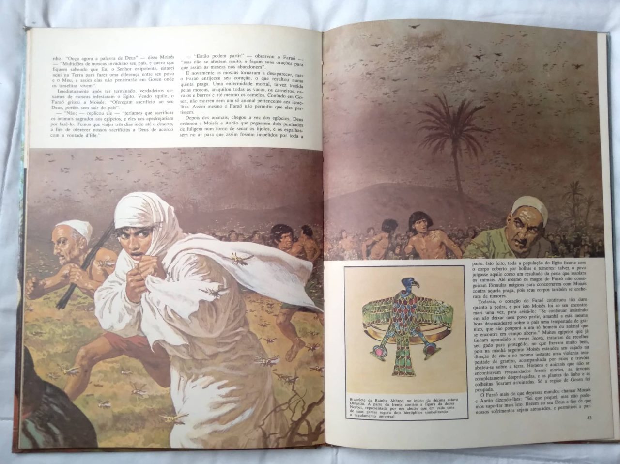| Casa do Colecionador Livro Bíblia ilustrada ao alcance dos Jovens vol 1. Ed Rideel.