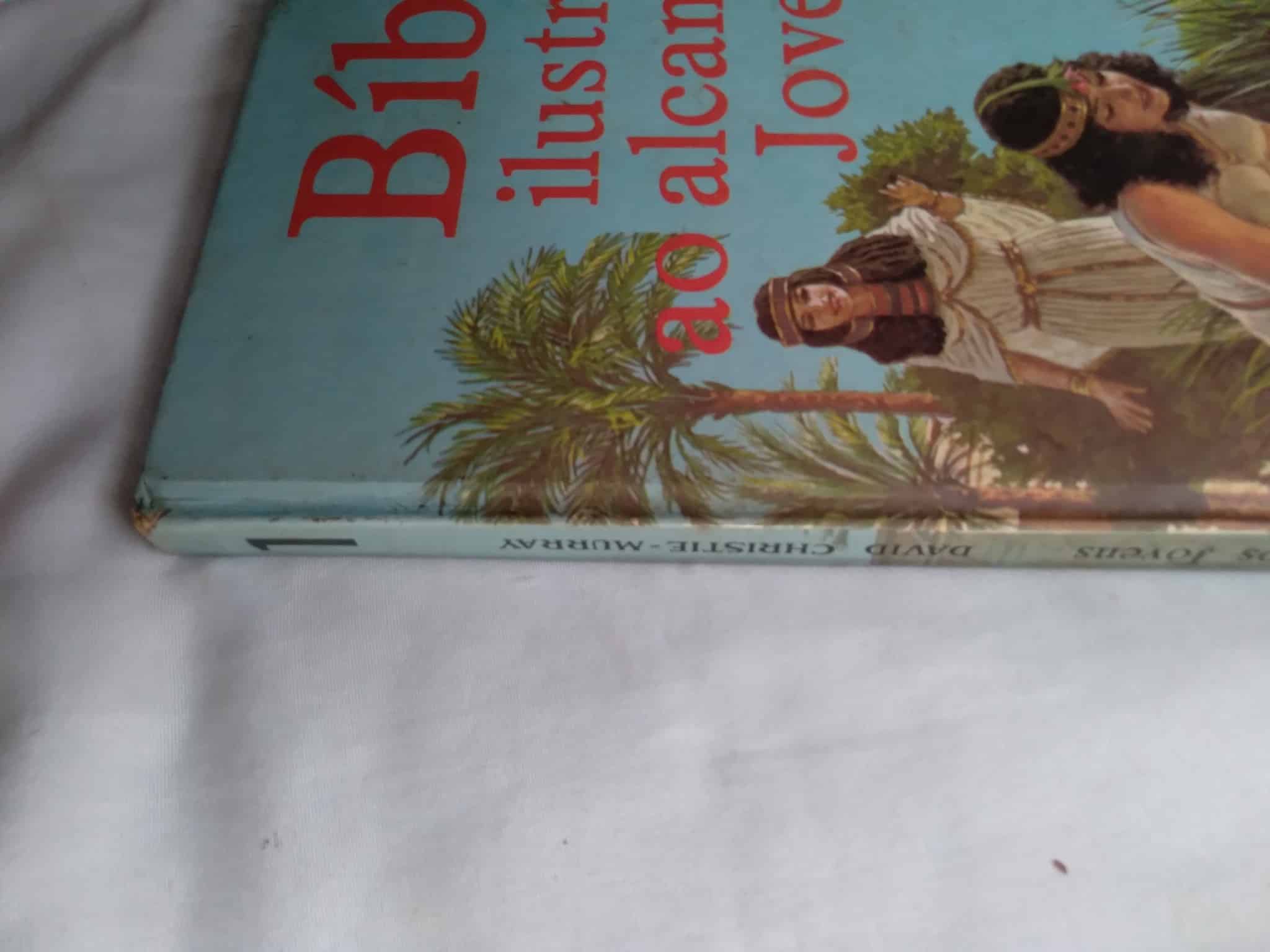 | Casa do Colecionador Livro Bíblia ilustrada ao alcance dos Jovens vol 1. Ed Rideel.