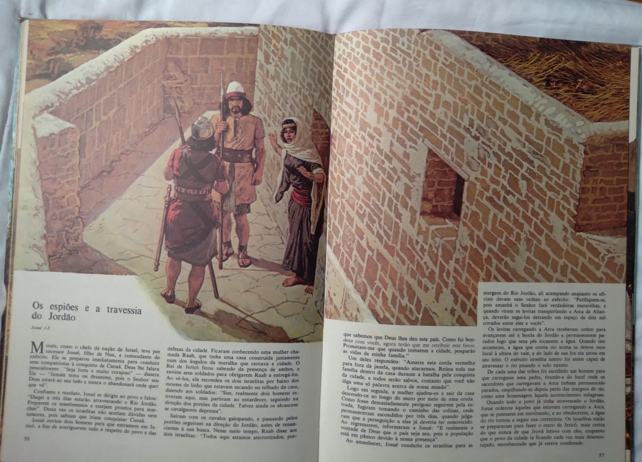 | Casa do Colecionador Livro Bíblia ilustrada ao alcance dos Jovens vol 1. Ed Rideel.