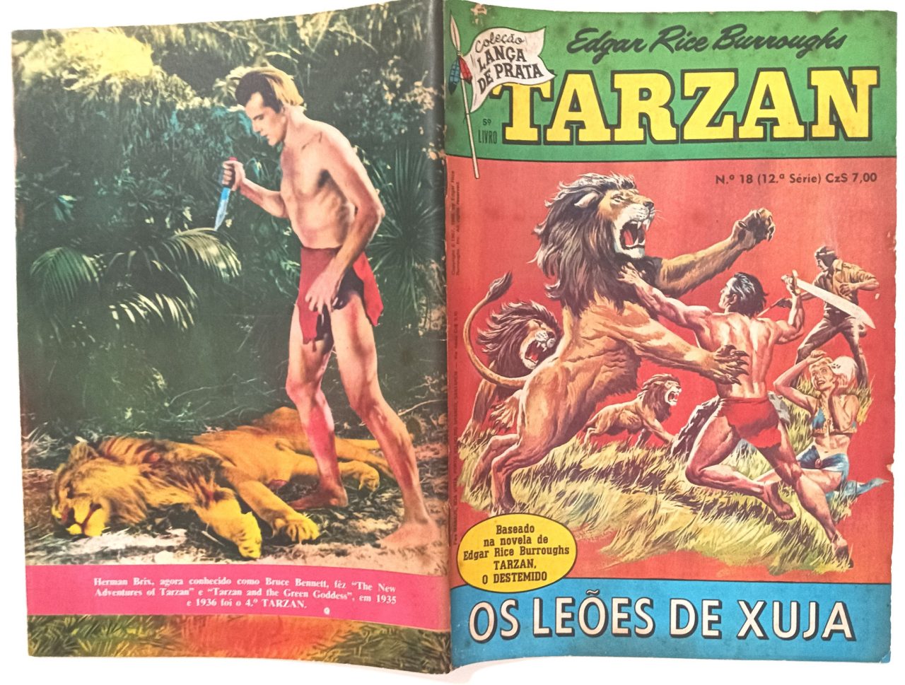 | Casa do Colecionador Tarzan nº 18, 12ª série, Ebal -1986. HQ/Gibi
