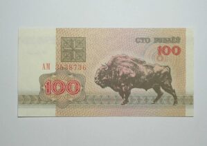 Bielo Russia / Cédula Estrangeira / 100 Rublei - 1992 / Flor de Estampa