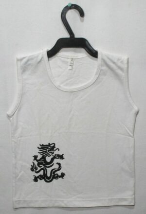 Camiseta menino com estampa motivo dragão, veste 2 anos, 100% algodão