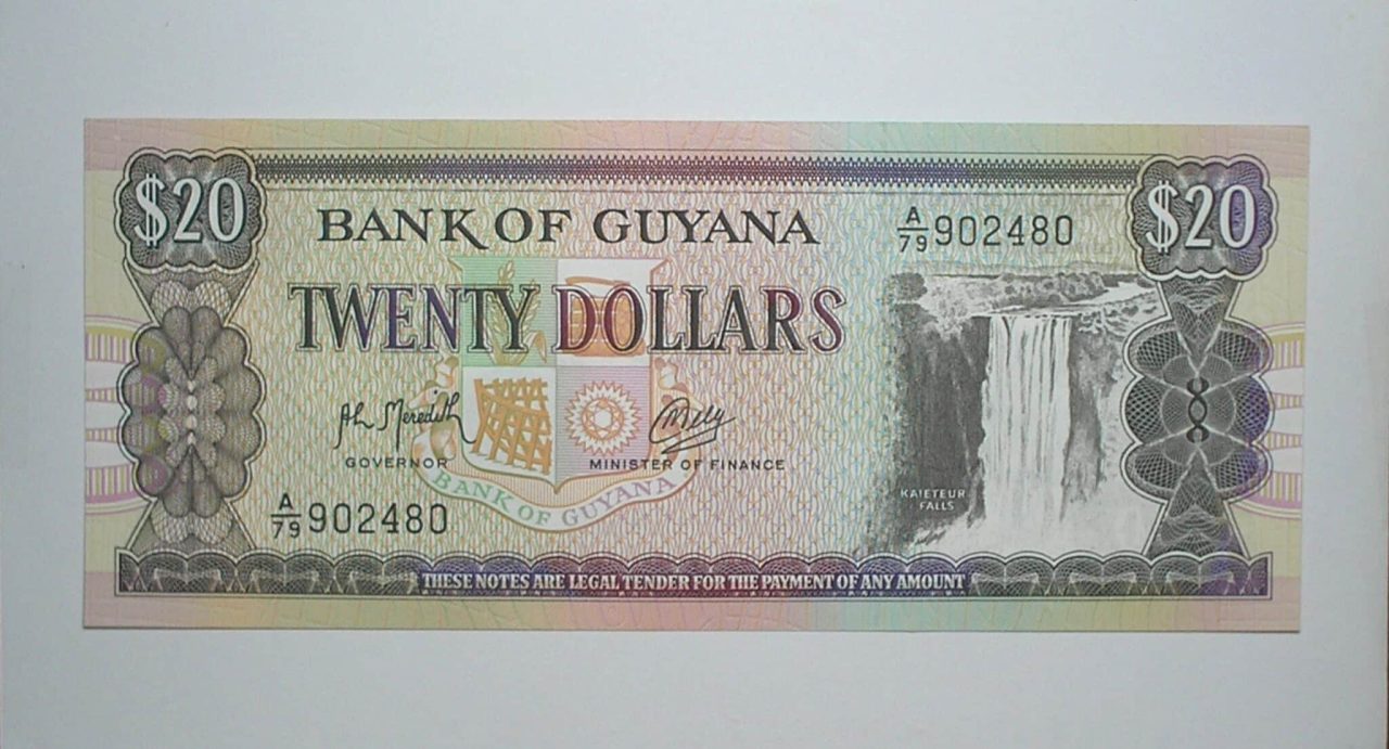 | Casa do Colecionador Guyana / Cédula Estrangeira / 20 Dollars - 1966 / Cataratas de Kaieteur / Flor de Estampa