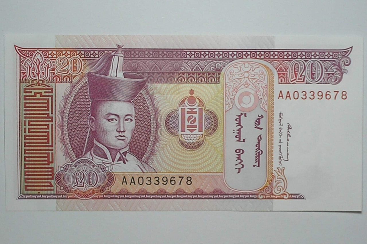 | Casa do Colecionador Mongolia / Cédula Estrangeira / 20 Tugtik - 1993 / Flor de Estampa