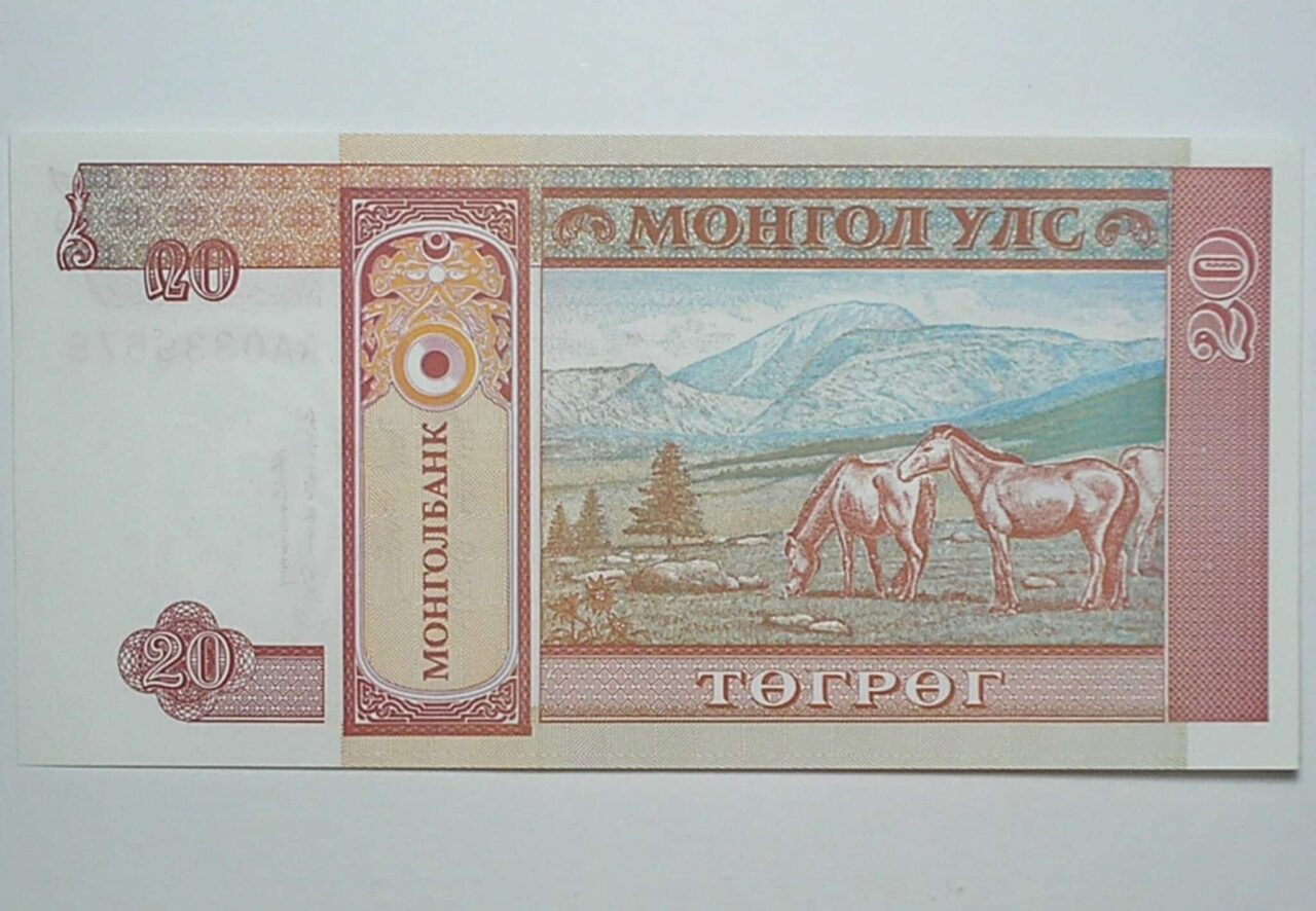 | Casa do Colecionador Mongolia / Cédula Estrangeira / 20 Tugtik - 1993 / Flor de Estampa
